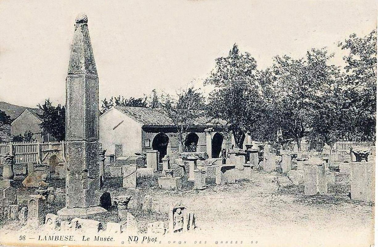 ALGERIE-RUINES ROMAINES DE LAMBESE (61).jpg